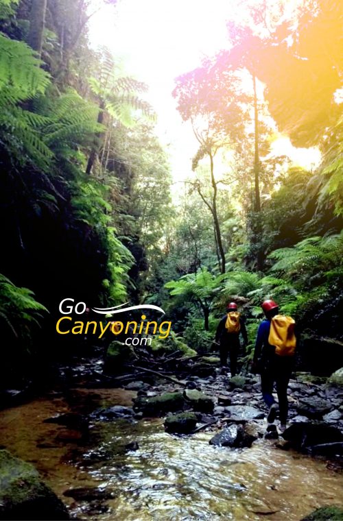 People walking down a stream